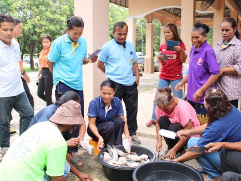 โครงการอบรมส่งเสริมอาชีพระยะสั้น หลักสูตรการทำปลาส้มไร้กาง และเค้กกล้วยหอม